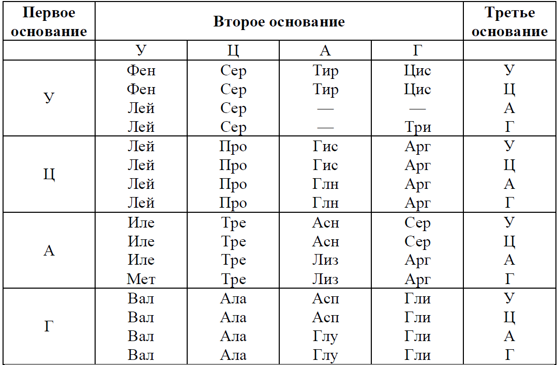 ЕГЭ / Биология / 28 задание / 19 изображение 1