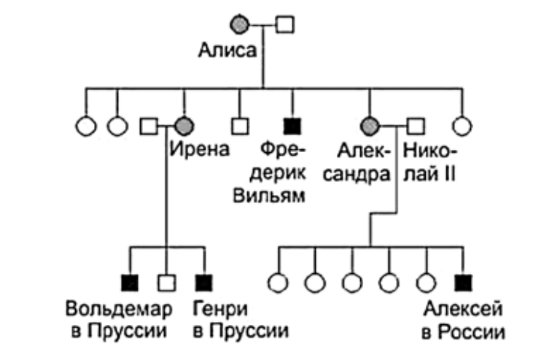 ЕГЭ / Биология / 01 задание (24) / 61 изображение 1