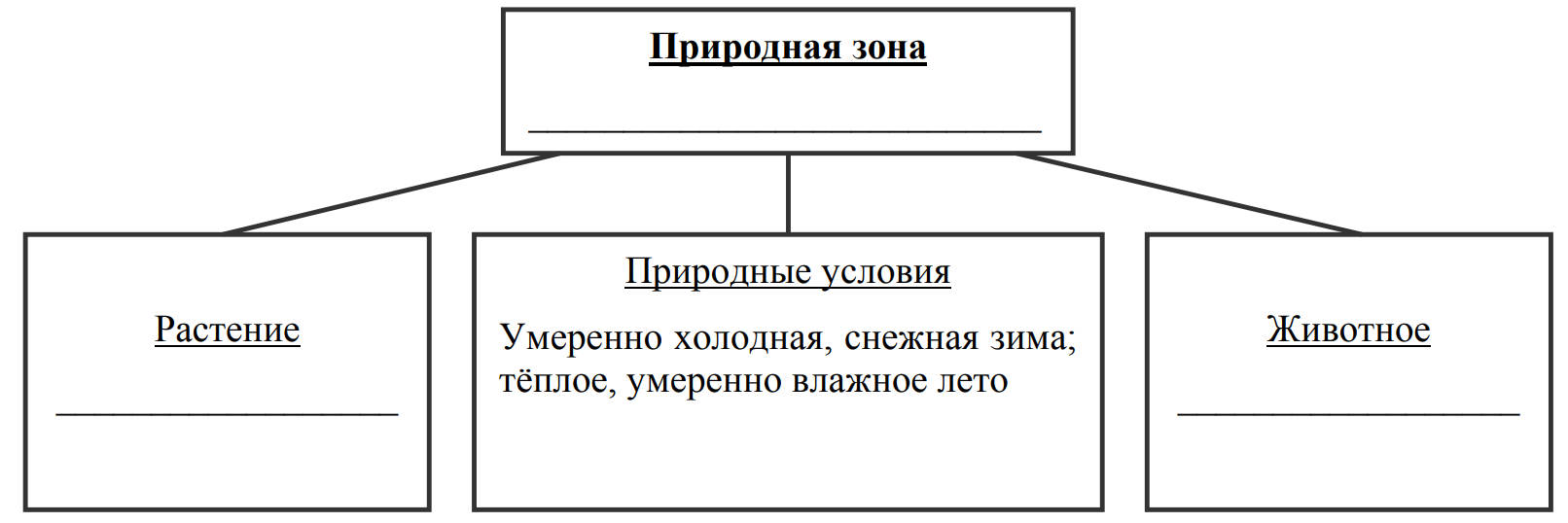 Заполните пустые ячейки на схеме выбрав слова или словосочетания