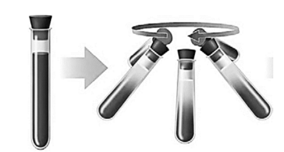 ЕГЭ / Биология / 01 задание (24) / 61 изображение 2