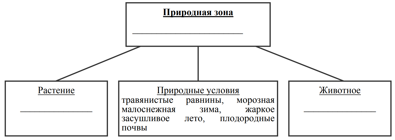 Заполните пустые ячейки на схеме выбрав необходимые слова из приведенного списка сайгак тайга белка