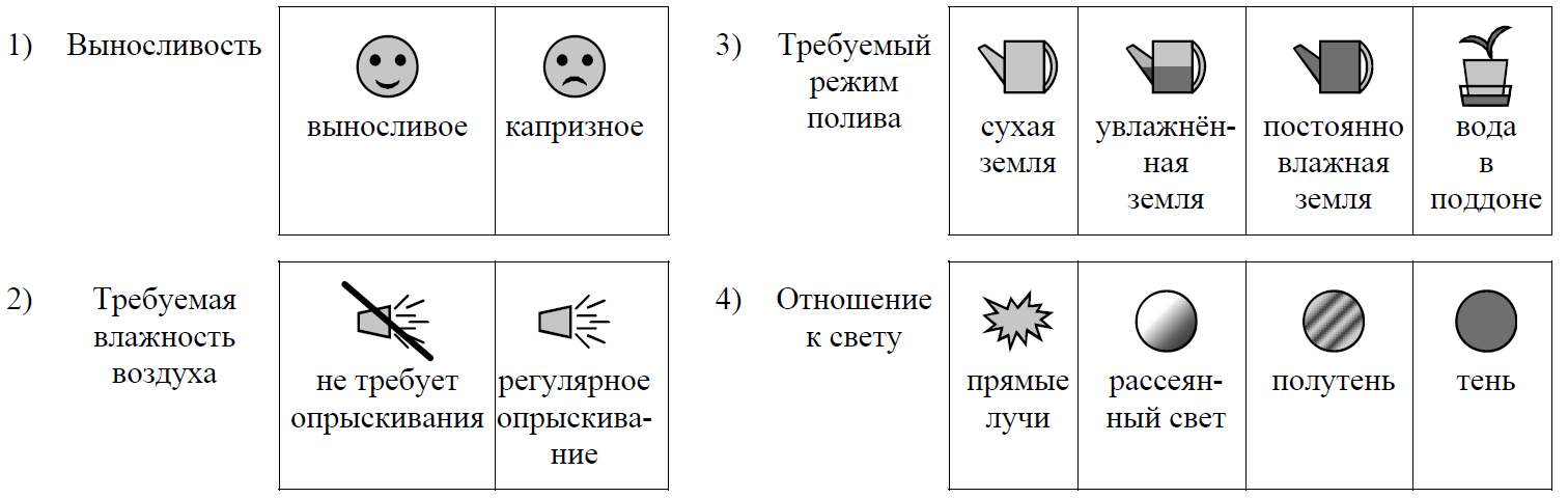 ВПР / Биология / 6 класс / 10 задание / 46 изображение 1