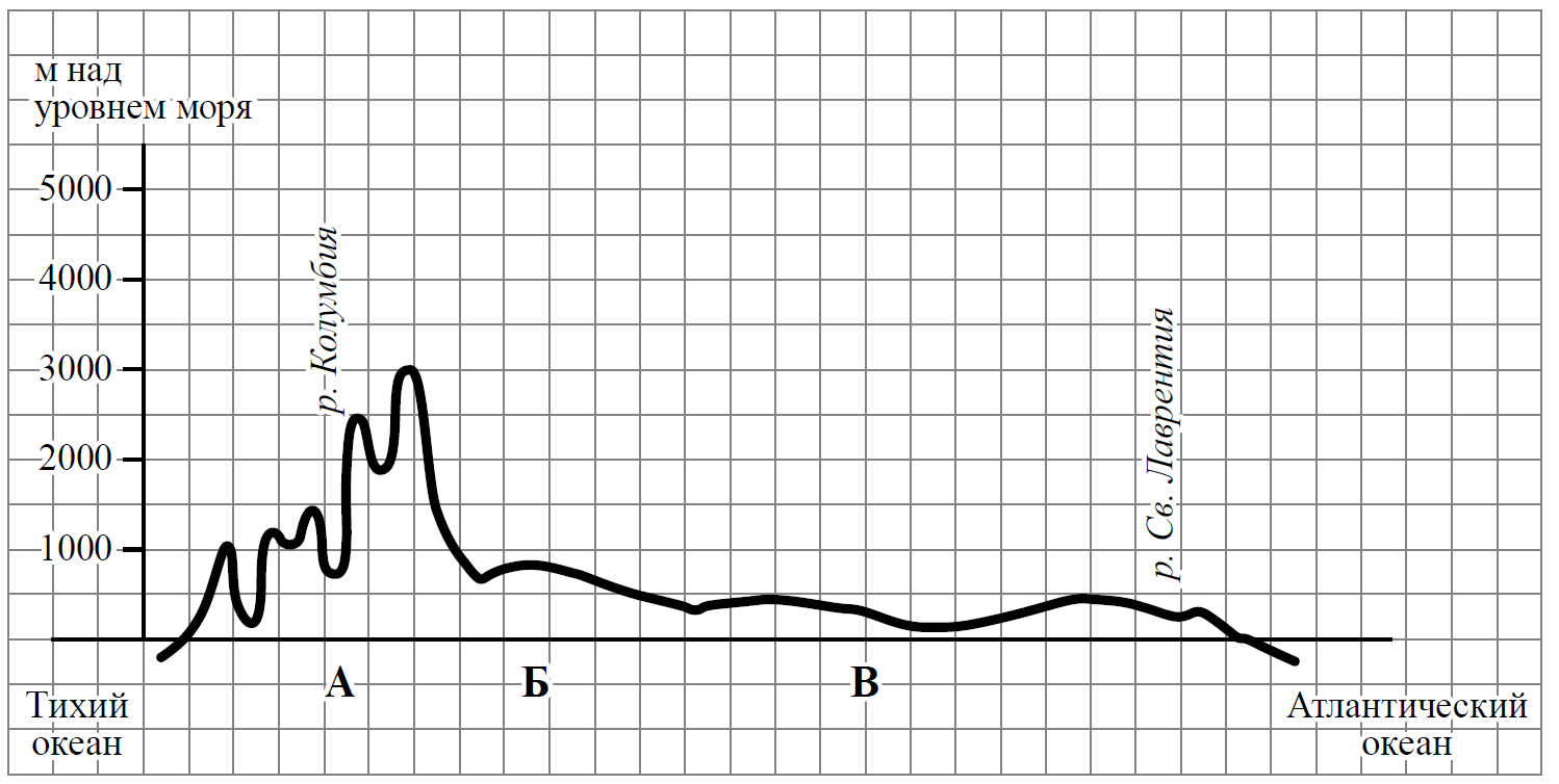 На уроке географии андрей построил профиль рельефа северной америки представленный на рисунке ответ