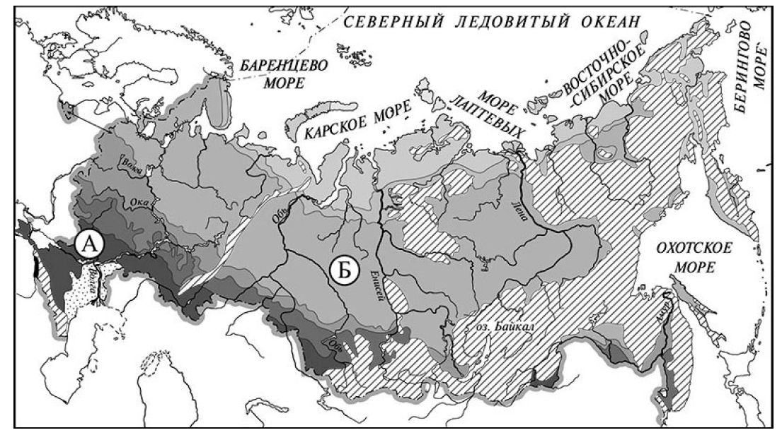 ВПР / Окружающий мир / 4 класс / 03 задание / 92 изображение 1