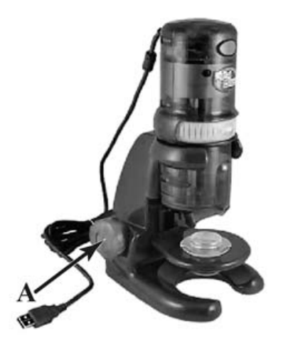 ВПР / Биология / 5 класс / 04 задание / 48