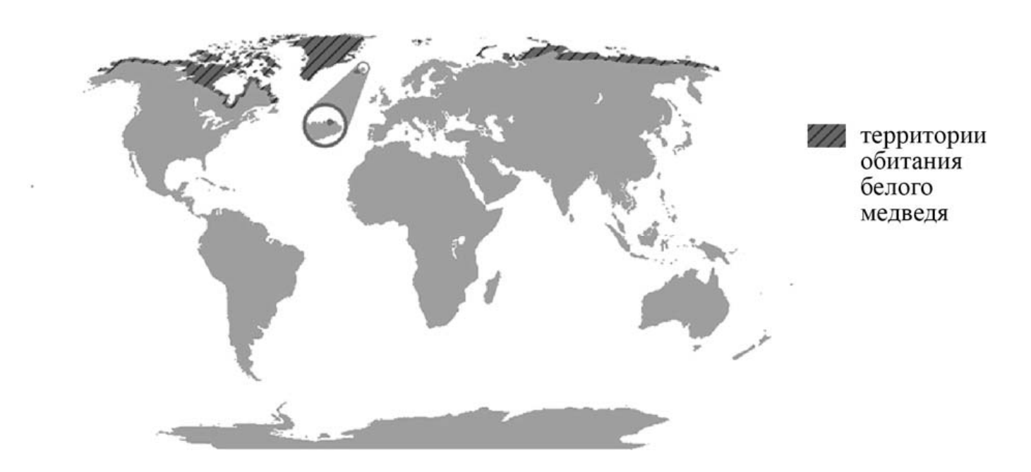 Карта обитания белых медведей