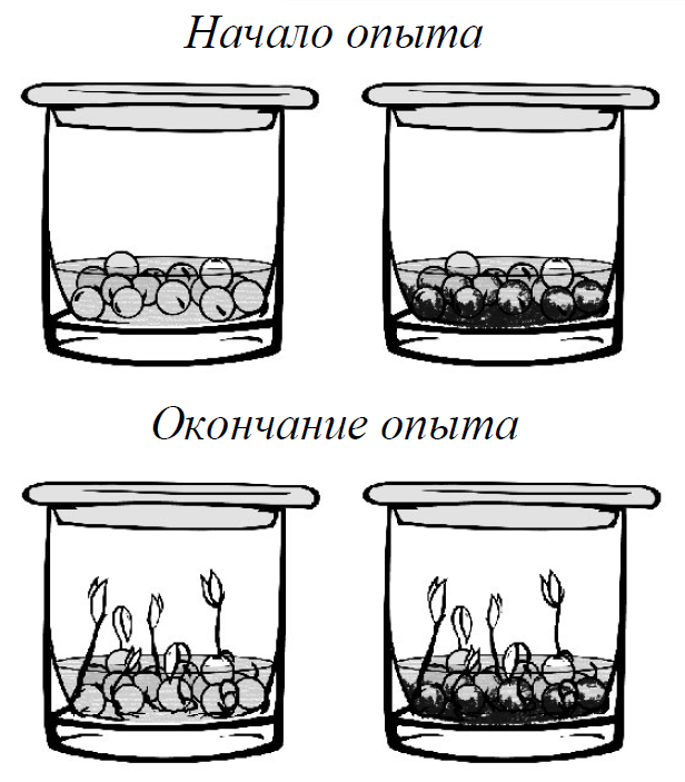 ВПР / Окружающий мир / 4 класс / 06 задание / 38 изображение 1