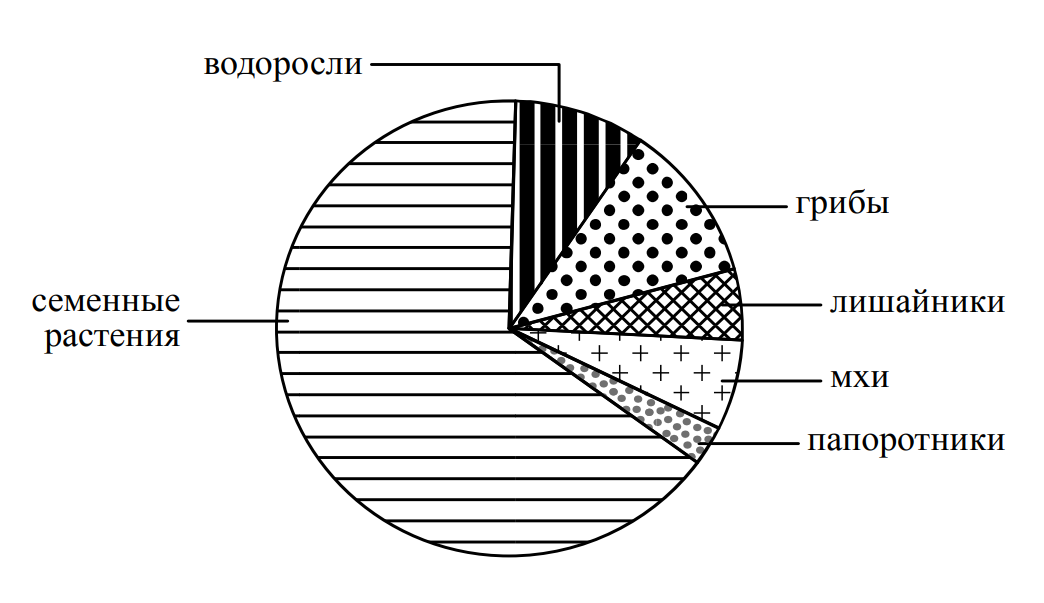 Информация представлена в диаграмме