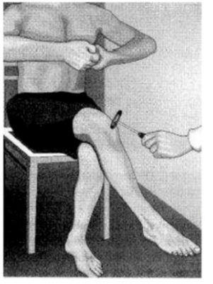 ОГЭ / Биология / 01 задание (24) / 58 изображение 1