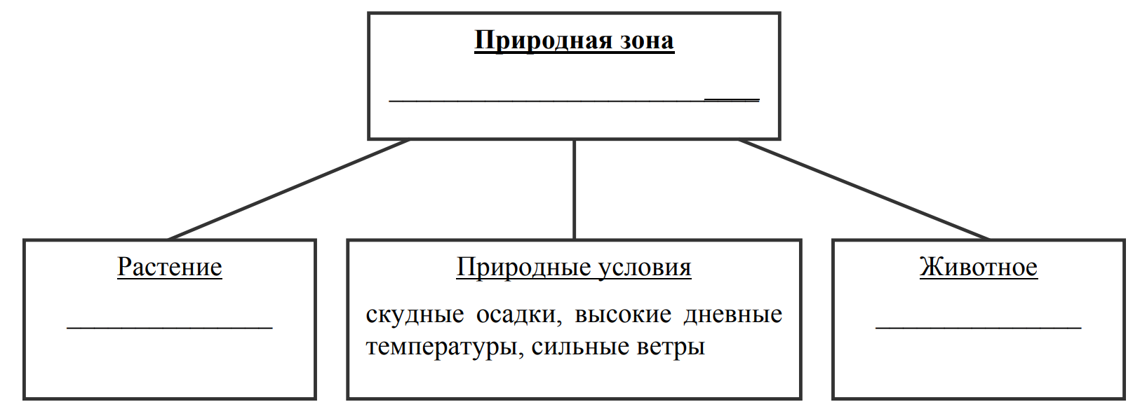 Заполните пустые ячейки на схеме выбрав необходимые слова из приведенного списка пустыня тайга