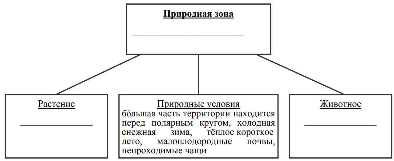 Ель белка верблюд саксаул тайга пустыня заполните схему