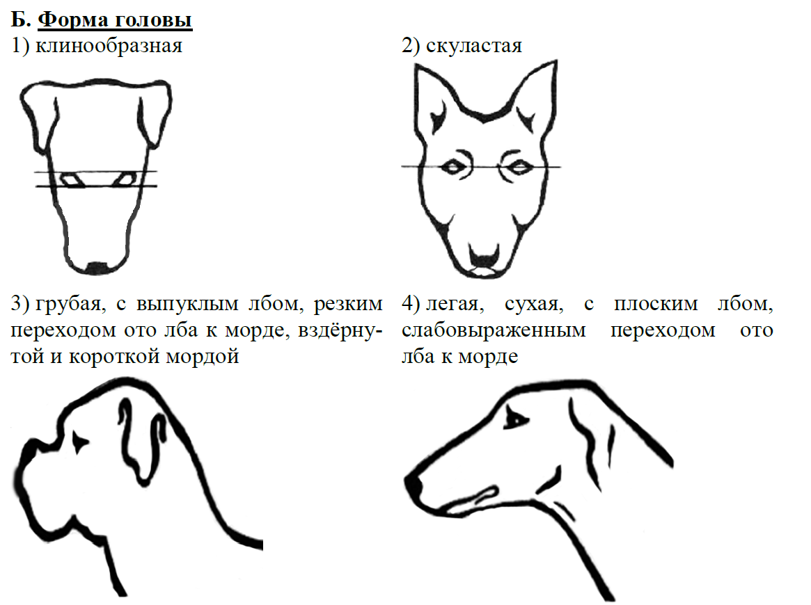 Выберите характеристики соответствующие