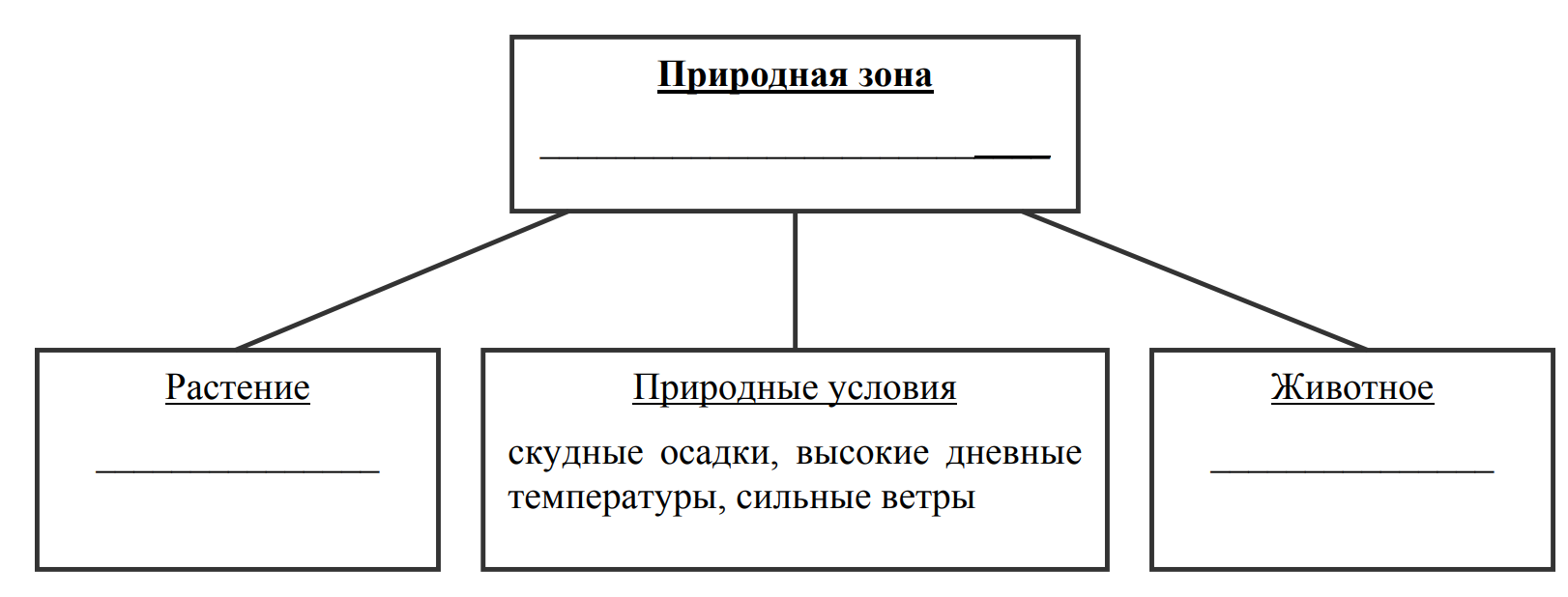 Заполните пустые ячейки на схеме выбрав слова или словосочетания