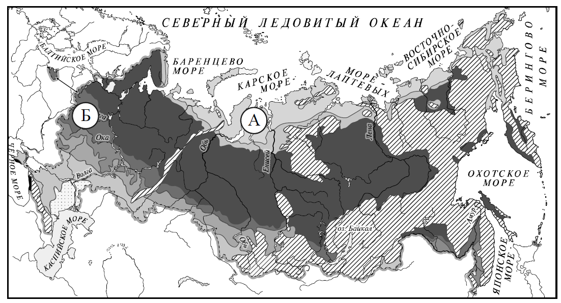 ВПР / Окружающий мир / 4 класс / 03 задание / 80 изображение 1