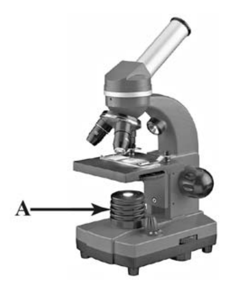 Алексей на уроке изучал устройство микроскопа и делал соответствующие подписи к рисунку какую деталь