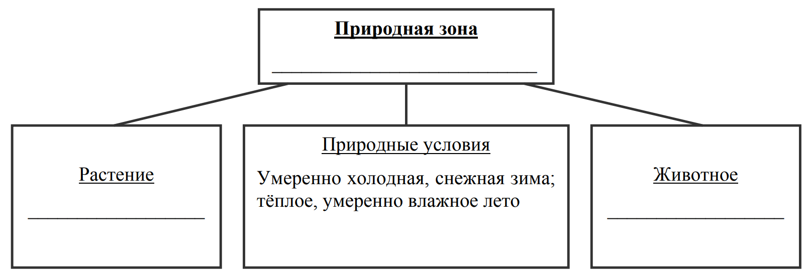 Заполните пустые ячейки на схеме выбрав слова или словосочетания