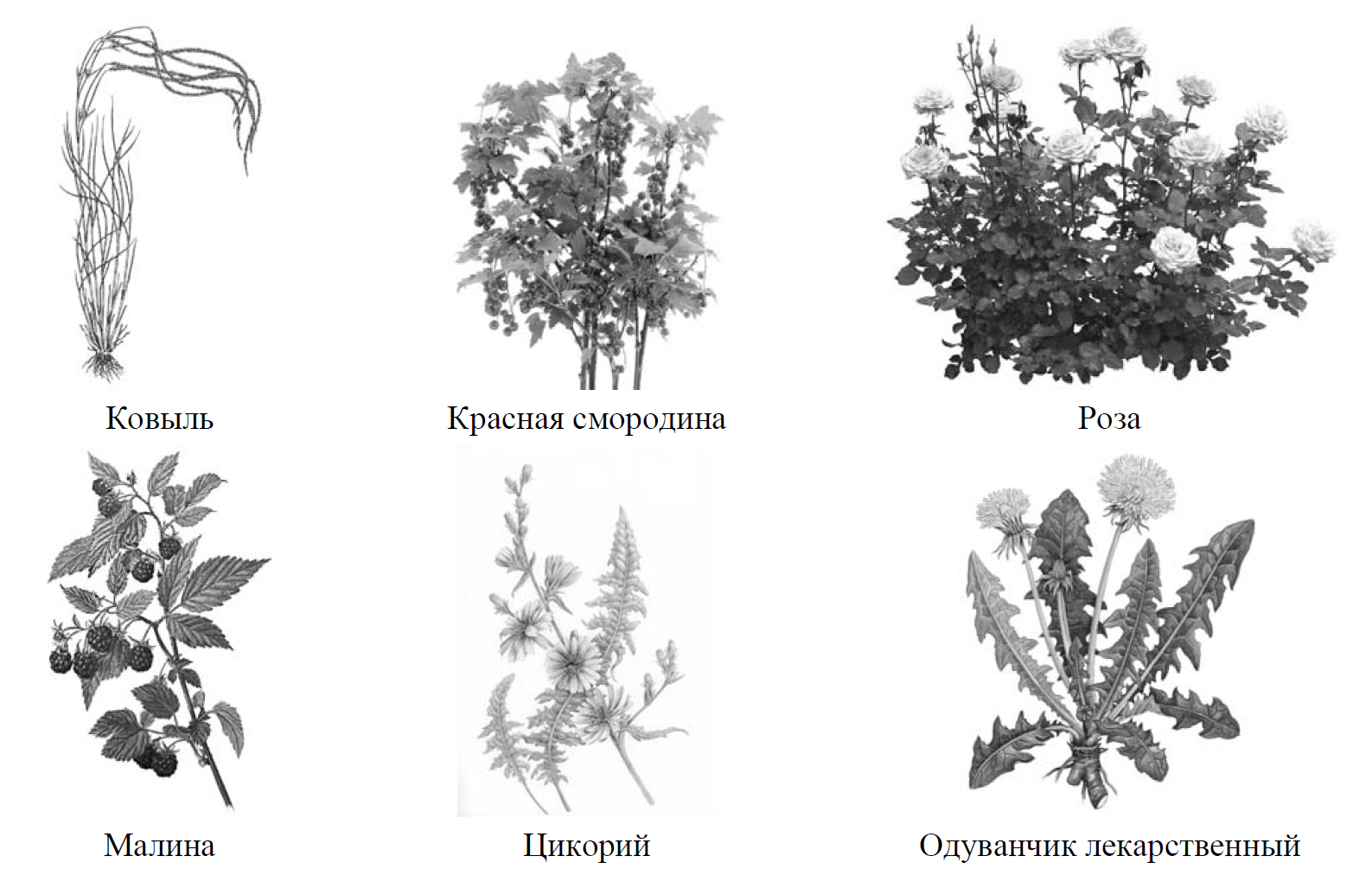 Рассмотрите изображение шести