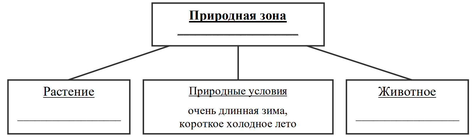 Заполните пустые ячейки на схеме выбрав