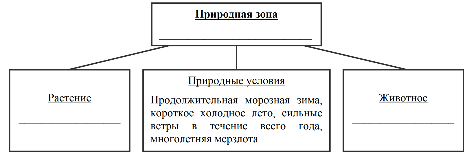 Заполните пустые ячейки на схеме выбрав