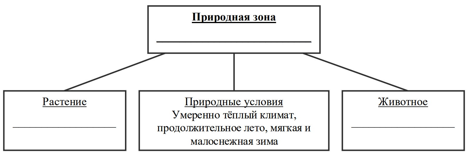 Заполните пустые ячейки на схеме выбрав слова или словосочетания