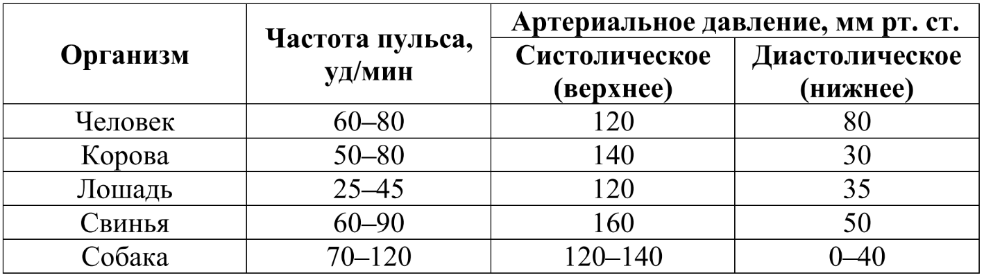 ОГЭ / Биология / 25 задание (24) / 44 изображение 1