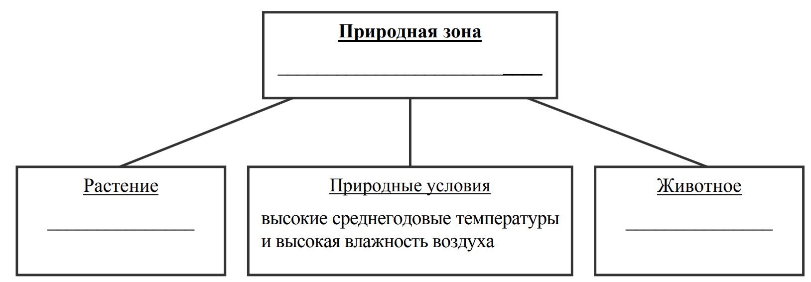 Заполните пустые ячейки на схеме выбрав необходимые слова из приведенного списка суслик тайга песец