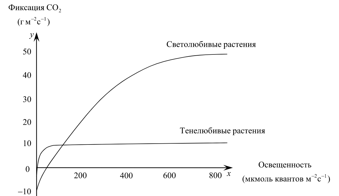 Графика в со2. График зависимости х от у. Фиксация углекислого газа. График углекислоты. График освещенности.