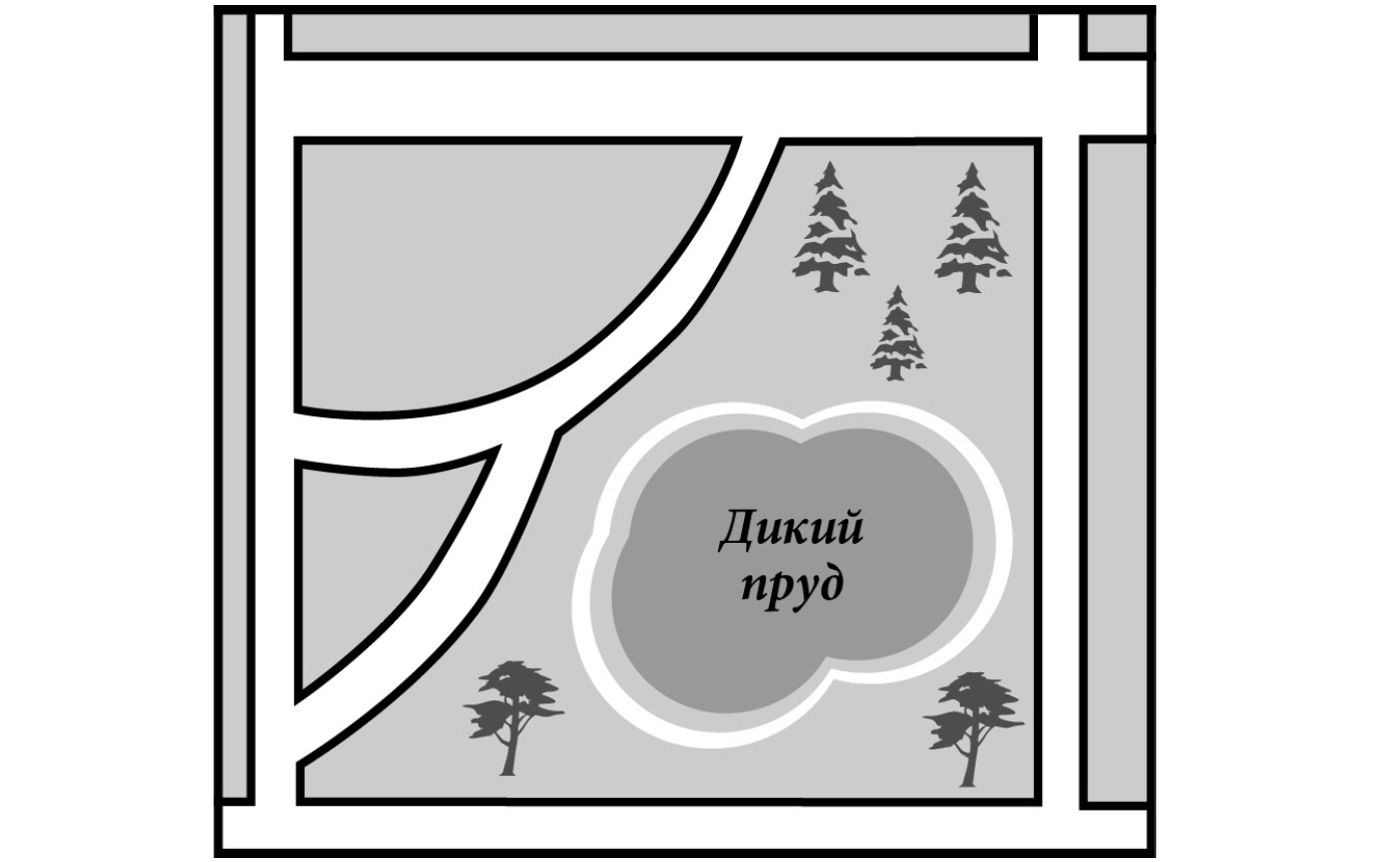 Прогулка в парке впр 4 класс