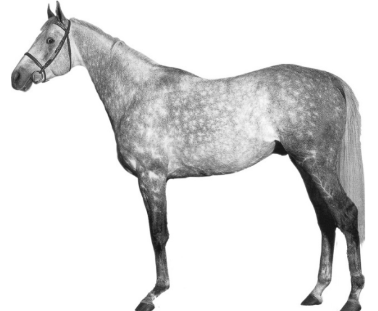 ОГЭ / Биология / 13 задание (24) / 45 изображение 1