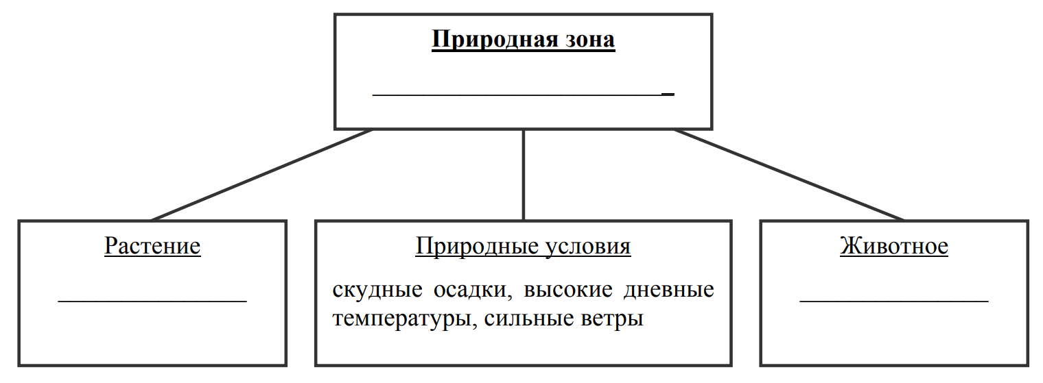 Заполните пустые ячейки на схеме выбрав