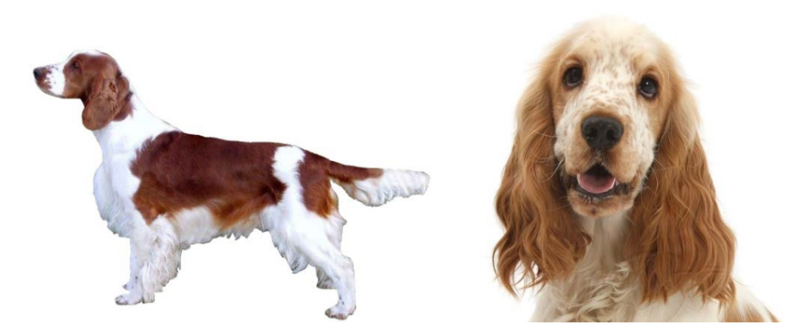 ОГЭ / Биология / 13 задание (24) / 49 изображение 1