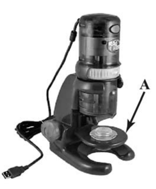 ВПР / Биология / 5 класс / 04 задание / 71