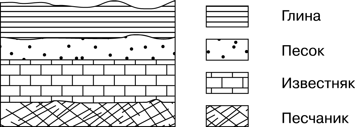 Расположите показанные на рисунке слои горных пород в порядке увеличения их возраста от самого молод