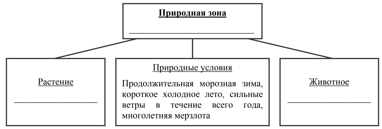 Заполните пустые ячейки на схеме выбрав слова и или словосочетания из приведенного списка тундра