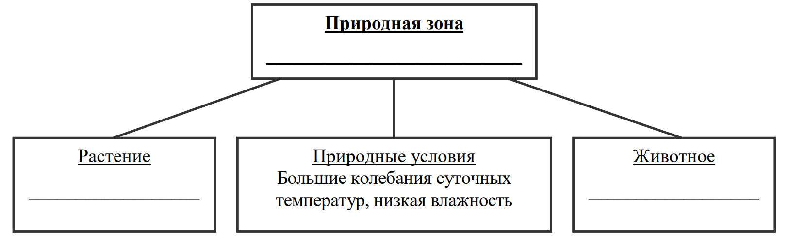 Заполните пустые ячейки на схеме выбрав необходимые слова из приведенного списка кролик тайга белка