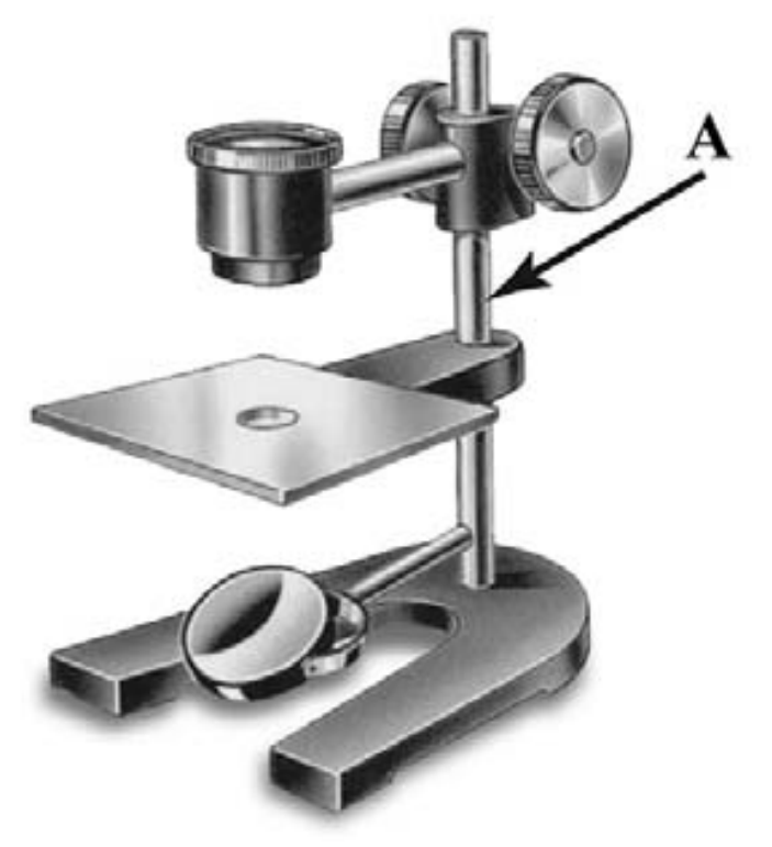 Строение штативной лупы. Штативная лупа 5 класс биология. Штативная лупа биологий 5. Биология 5 класс увеличительные приборы- штативная лупа. Штативная лупа 6 класс биология.
