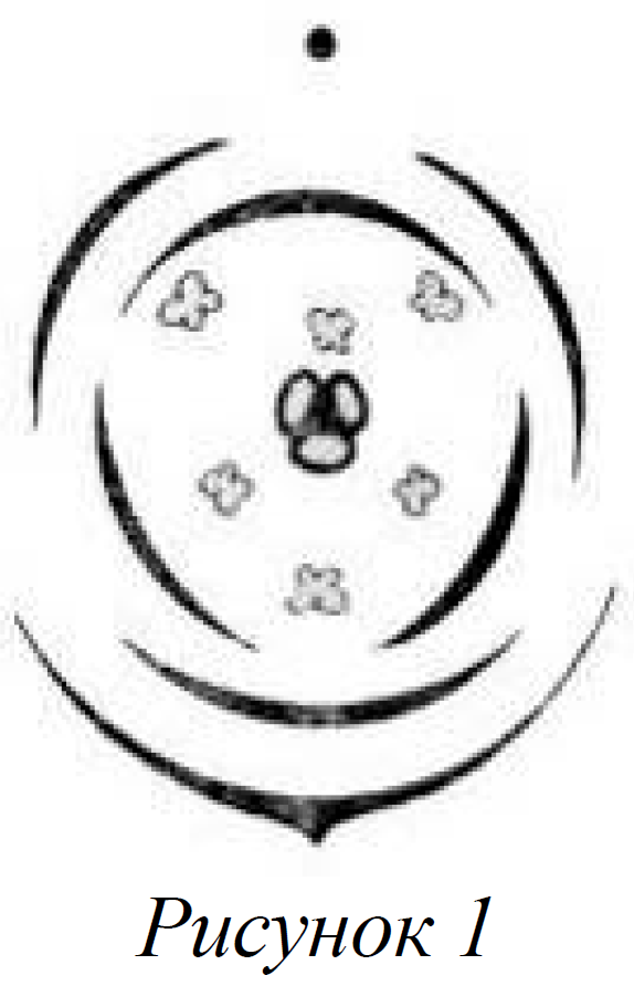Какой признак показанный на диаграмме цветка позволяет определить принадлежность растения к этому