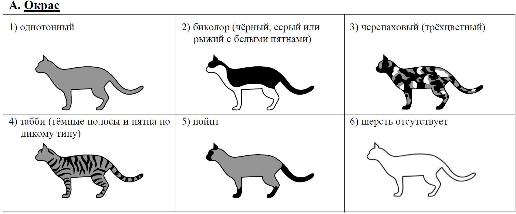 Выберите характеристики соответствующие внешнему строению собаки по следующему плану окрас