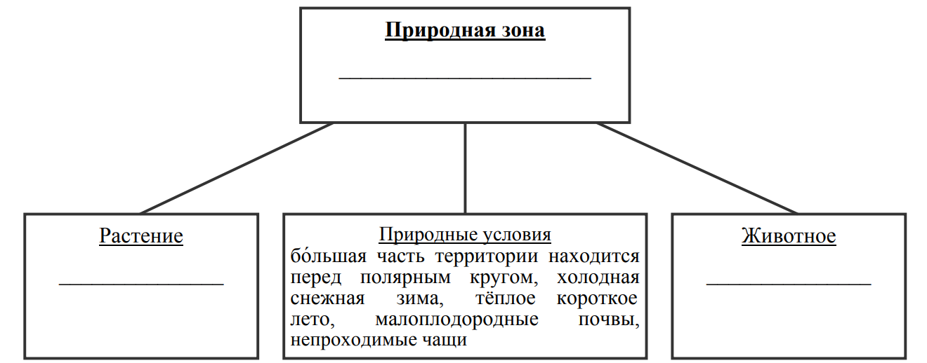 Заполните пустые ячейки на схеме выбрав необходимые