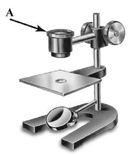 ВПР / Биология / 5 класс / 04 задание / 76