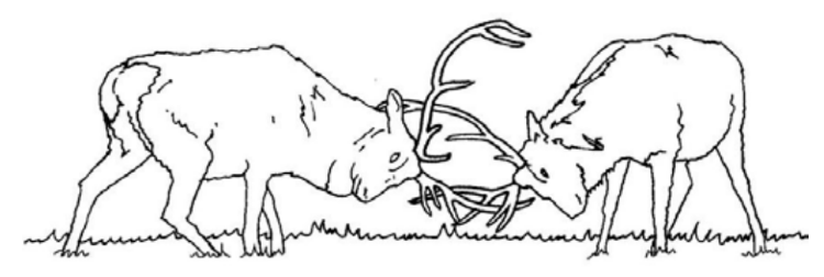 ЕГЭ / Биология / 01 задание (24) / 59 изображение 2