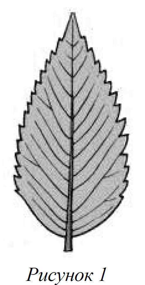 ВПР / Биология / 7 класс / 07 задание / 71 изображение 1