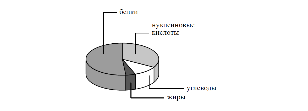 Рассмотри диаграмму на которой показано содержание белков жиров и углеводов в новом блюде детского