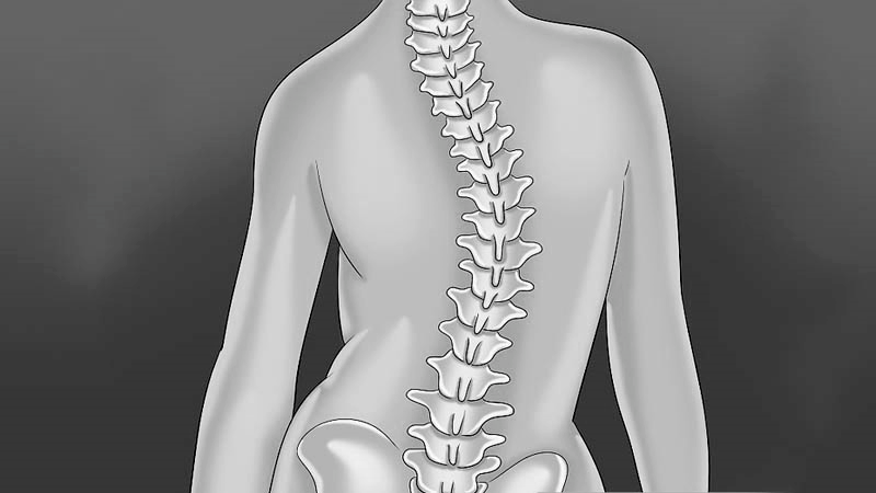 Форма позвоночника. Позвоночник сколиоз форма позвоночника. Формы спины у человека.