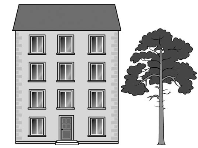 На рисунке изображены здание и стоящее рядом дерево высота здания 28 метров какова высота дерева