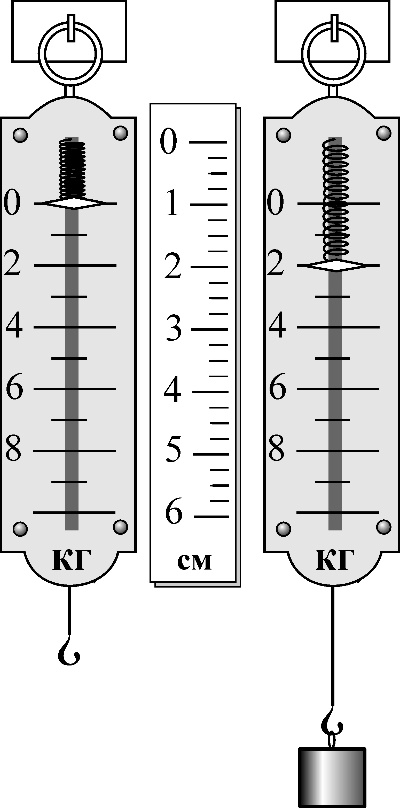 Пружина динамометра жесткостью. Проградуированный динамометр рисунок. Динамометр пружинный. Динамометр с грузом. Динамометр ручной.