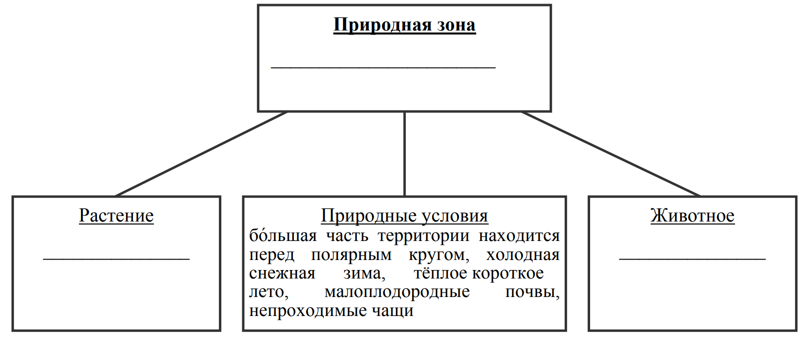 Заполните пустые ячейки на схеме выбрав необходимые