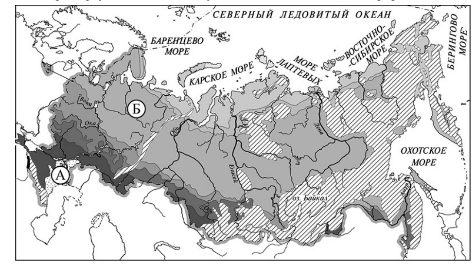 ВПР / Окружающий мир / 4 класс / 03 задание / 40 изображение 1