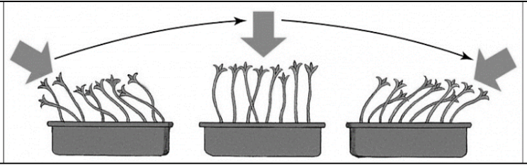 ЕГЭ / Биология / 01 задание (24) / 57 изображение 1
