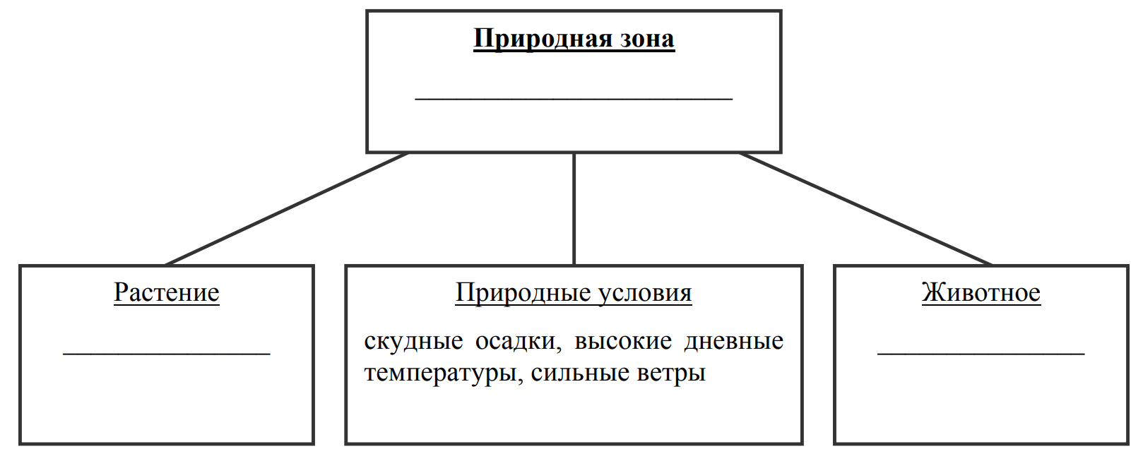 Заполните пустые ячейки на схеме выбрав необходимые слова из приведенного списка кролик тайга белка